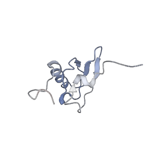21640_6wdl_X_v1-2
Cryo-EM of elongating ribosome with EF-Tu*GTP elucidates tRNA proofreading (Non-cognate Structure V-B1)