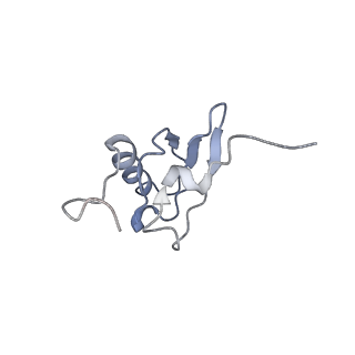 21640_6wdl_X_v1-3
Cryo-EM of elongating ribosome with EF-Tu*GTP elucidates tRNA proofreading (Non-cognate Structure V-B1)