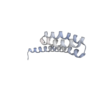 21640_6wdl_Y_v1-2
Cryo-EM of elongating ribosome with EF-Tu*GTP elucidates tRNA proofreading (Non-cognate Structure V-B1)