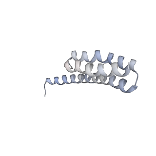 21640_6wdl_Y_v1-3
Cryo-EM of elongating ribosome with EF-Tu*GTP elucidates tRNA proofreading (Non-cognate Structure V-B1)