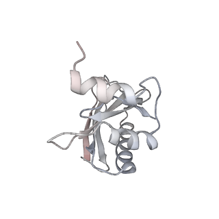 21640_6wdl_a_v1-2
Cryo-EM of elongating ribosome with EF-Tu*GTP elucidates tRNA proofreading (Non-cognate Structure V-B1)