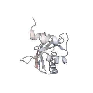 21640_6wdl_a_v1-3
Cryo-EM of elongating ribosome with EF-Tu*GTP elucidates tRNA proofreading (Non-cognate Structure V-B1)