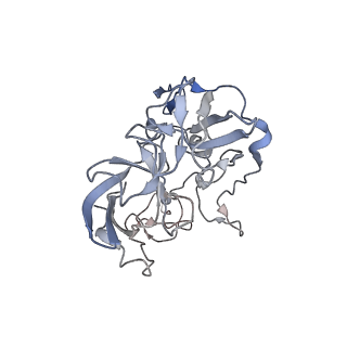 21640_6wdl_b_v1-3
Cryo-EM of elongating ribosome with EF-Tu*GTP elucidates tRNA proofreading (Non-cognate Structure V-B1)