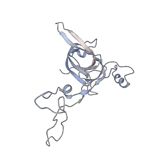 21640_6wdl_c_v1-2
Cryo-EM of elongating ribosome with EF-Tu*GTP elucidates tRNA proofreading (Non-cognate Structure V-B1)