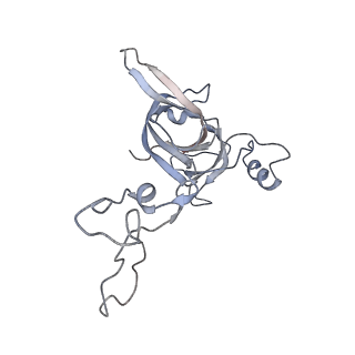 21640_6wdl_c_v1-3
Cryo-EM of elongating ribosome with EF-Tu*GTP elucidates tRNA proofreading (Non-cognate Structure V-B1)