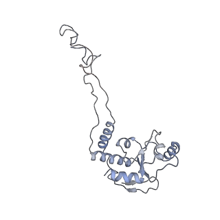 21640_6wdl_d_v1-2
Cryo-EM of elongating ribosome with EF-Tu*GTP elucidates tRNA proofreading (Non-cognate Structure V-B1)