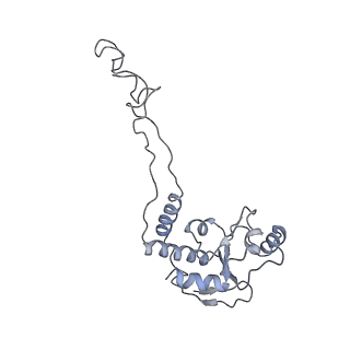 21640_6wdl_d_v1-3
Cryo-EM of elongating ribosome with EF-Tu*GTP elucidates tRNA proofreading (Non-cognate Structure V-B1)