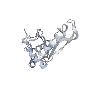 21640_6wdl_e_v1-2
Cryo-EM of elongating ribosome with EF-Tu*GTP elucidates tRNA proofreading (Non-cognate Structure V-B1)