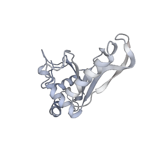 21640_6wdl_e_v1-3
Cryo-EM of elongating ribosome with EF-Tu*GTP elucidates tRNA proofreading (Non-cognate Structure V-B1)