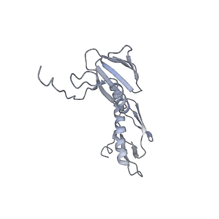 21640_6wdl_f_v1-2
Cryo-EM of elongating ribosome with EF-Tu*GTP elucidates tRNA proofreading (Non-cognate Structure V-B1)