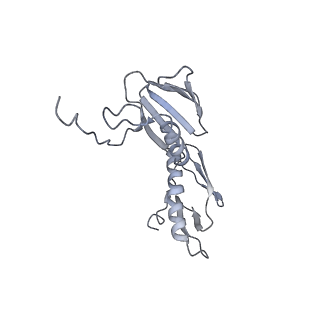 21640_6wdl_f_v1-3
Cryo-EM of elongating ribosome with EF-Tu*GTP elucidates tRNA proofreading (Non-cognate Structure V-B1)