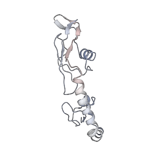 21640_6wdl_g_v1-2
Cryo-EM of elongating ribosome with EF-Tu*GTP elucidates tRNA proofreading (Non-cognate Structure V-B1)