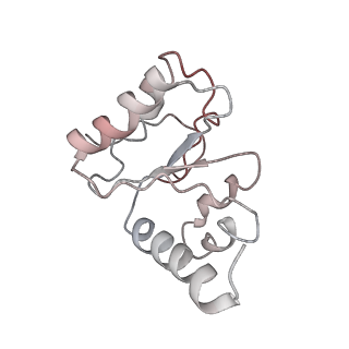21640_6wdl_h_v1-2
Cryo-EM of elongating ribosome with EF-Tu*GTP elucidates tRNA proofreading (Non-cognate Structure V-B1)