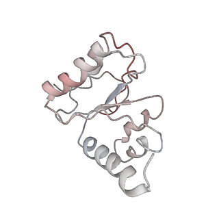 21640_6wdl_h_v1-3
Cryo-EM of elongating ribosome with EF-Tu*GTP elucidates tRNA proofreading (Non-cognate Structure V-B1)