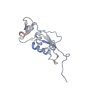 21640_6wdl_j_v1-2
Cryo-EM of elongating ribosome with EF-Tu*GTP elucidates tRNA proofreading (Non-cognate Structure V-B1)