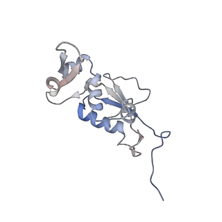 21640_6wdl_j_v1-3
Cryo-EM of elongating ribosome with EF-Tu*GTP elucidates tRNA proofreading (Non-cognate Structure V-B1)