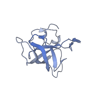 21640_6wdl_k_v1-2
Cryo-EM of elongating ribosome with EF-Tu*GTP elucidates tRNA proofreading (Non-cognate Structure V-B1)