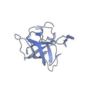 21640_6wdl_k_v1-3
Cryo-EM of elongating ribosome with EF-Tu*GTP elucidates tRNA proofreading (Non-cognate Structure V-B1)