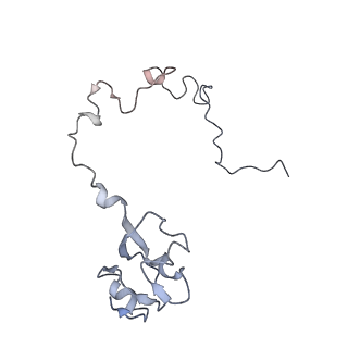 21640_6wdl_l_v1-2
Cryo-EM of elongating ribosome with EF-Tu*GTP elucidates tRNA proofreading (Non-cognate Structure V-B1)