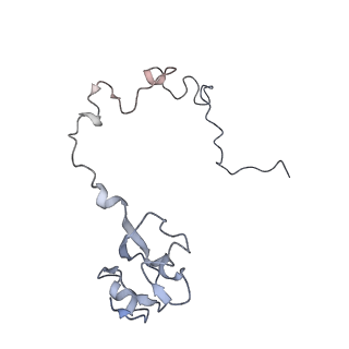 21640_6wdl_l_v1-3
Cryo-EM of elongating ribosome with EF-Tu*GTP elucidates tRNA proofreading (Non-cognate Structure V-B1)