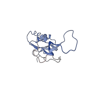 21640_6wdl_m_v1-2
Cryo-EM of elongating ribosome with EF-Tu*GTP elucidates tRNA proofreading (Non-cognate Structure V-B1)