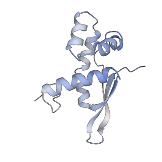 21640_6wdl_n_v1-2
Cryo-EM of elongating ribosome with EF-Tu*GTP elucidates tRNA proofreading (Non-cognate Structure V-B1)