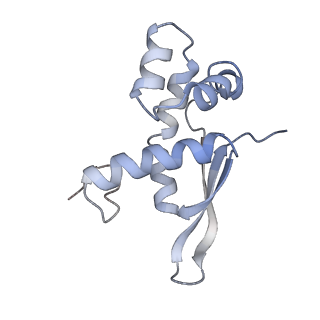 21640_6wdl_n_v1-3
Cryo-EM of elongating ribosome with EF-Tu*GTP elucidates tRNA proofreading (Non-cognate Structure V-B1)