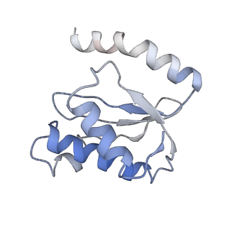 21640_6wdl_o_v1-2
Cryo-EM of elongating ribosome with EF-Tu*GTP elucidates tRNA proofreading (Non-cognate Structure V-B1)