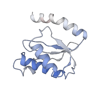 21640_6wdl_o_v1-3
Cryo-EM of elongating ribosome with EF-Tu*GTP elucidates tRNA proofreading (Non-cognate Structure V-B1)