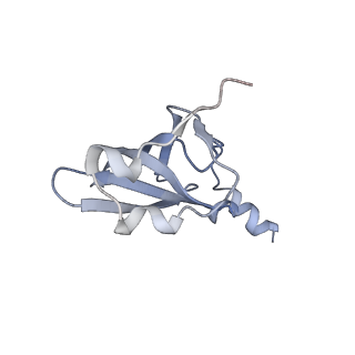 21640_6wdl_p_v1-2
Cryo-EM of elongating ribosome with EF-Tu*GTP elucidates tRNA proofreading (Non-cognate Structure V-B1)