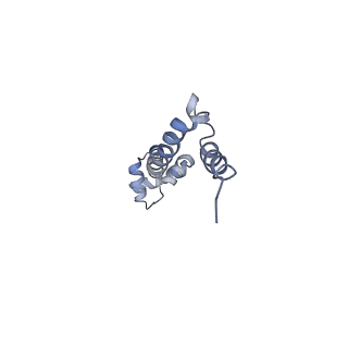 21640_6wdl_q_v1-2
Cryo-EM of elongating ribosome with EF-Tu*GTP elucidates tRNA proofreading (Non-cognate Structure V-B1)