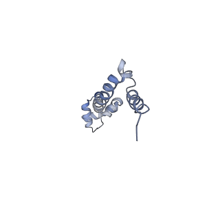 21640_6wdl_q_v1-3
Cryo-EM of elongating ribosome with EF-Tu*GTP elucidates tRNA proofreading (Non-cognate Structure V-B1)