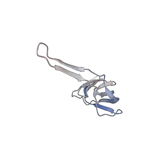 21640_6wdl_r_v1-2
Cryo-EM of elongating ribosome with EF-Tu*GTP elucidates tRNA proofreading (Non-cognate Structure V-B1)