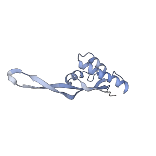 21640_6wdl_s_v1-2
Cryo-EM of elongating ribosome with EF-Tu*GTP elucidates tRNA proofreading (Non-cognate Structure V-B1)