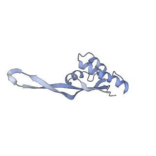 21640_6wdl_s_v1-3
Cryo-EM of elongating ribosome with EF-Tu*GTP elucidates tRNA proofreading (Non-cognate Structure V-B1)