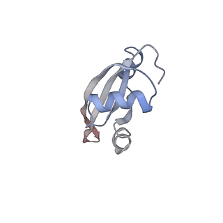 21640_6wdl_t_v1-2
Cryo-EM of elongating ribosome with EF-Tu*GTP elucidates tRNA proofreading (Non-cognate Structure V-B1)