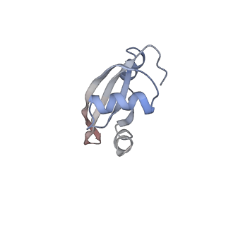 21640_6wdl_t_v1-3
Cryo-EM of elongating ribosome with EF-Tu*GTP elucidates tRNA proofreading (Non-cognate Structure V-B1)