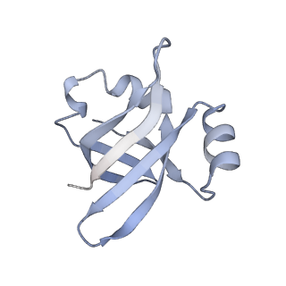 21640_6wdl_v_v1-2
Cryo-EM of elongating ribosome with EF-Tu*GTP elucidates tRNA proofreading (Non-cognate Structure V-B1)