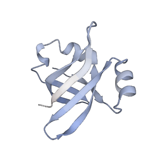 21640_6wdl_v_v1-3
Cryo-EM of elongating ribosome with EF-Tu*GTP elucidates tRNA proofreading (Non-cognate Structure V-B1)