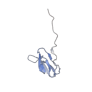 21640_6wdl_w_v1-2
Cryo-EM of elongating ribosome with EF-Tu*GTP elucidates tRNA proofreading (Non-cognate Structure V-B1)