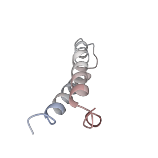 21640_6wdl_y_v1-2
Cryo-EM of elongating ribosome with EF-Tu*GTP elucidates tRNA proofreading (Non-cognate Structure V-B1)