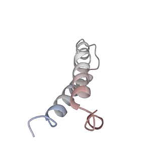 21640_6wdl_y_v1-3
Cryo-EM of elongating ribosome with EF-Tu*GTP elucidates tRNA proofreading (Non-cognate Structure V-B1)