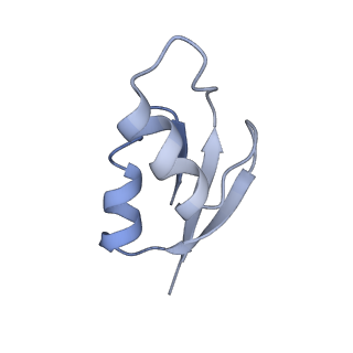 21640_6wdl_z_v1-2
Cryo-EM of elongating ribosome with EF-Tu*GTP elucidates tRNA proofreading (Non-cognate Structure V-B1)