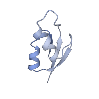 21640_6wdl_z_v1-3
Cryo-EM of elongating ribosome with EF-Tu*GTP elucidates tRNA proofreading (Non-cognate Structure V-B1)