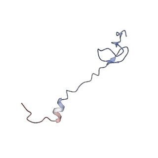 21641_6wdm_B_v1-2
Cryo-EM of elongating ribosome with EF-Tu*GTP elucidates tRNA proofreading (Non-cognate Structure V-B2)