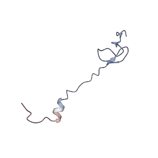 21641_6wdm_B_v1-3
Cryo-EM of elongating ribosome with EF-Tu*GTP elucidates tRNA proofreading (Non-cognate Structure V-B2)