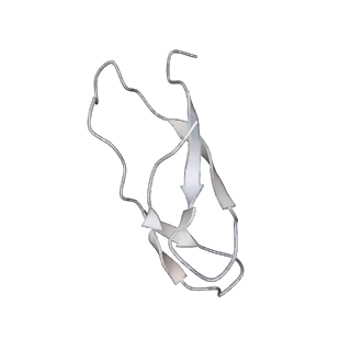 21641_6wdm_C_v1-3
Cryo-EM of elongating ribosome with EF-Tu*GTP elucidates tRNA proofreading (Non-cognate Structure V-B2)