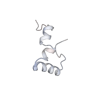 21641_6wdm_D_v1-2
Cryo-EM of elongating ribosome with EF-Tu*GTP elucidates tRNA proofreading (Non-cognate Structure V-B2)