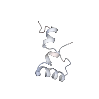 21641_6wdm_D_v1-3
Cryo-EM of elongating ribosome with EF-Tu*GTP elucidates tRNA proofreading (Non-cognate Structure V-B2)