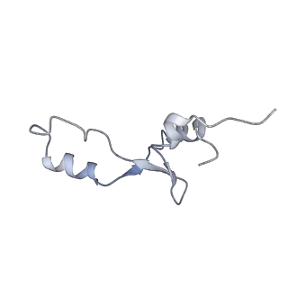 21641_6wdm_E_v1-2
Cryo-EM of elongating ribosome with EF-Tu*GTP elucidates tRNA proofreading (Non-cognate Structure V-B2)